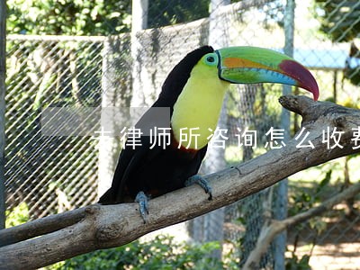 去律师所咨询怎么收费 去律师所咨询怎么收费