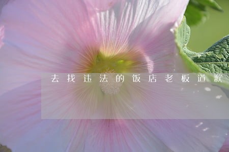去找违法的饭店老板道歉 去找违法的饭店老板道歉
