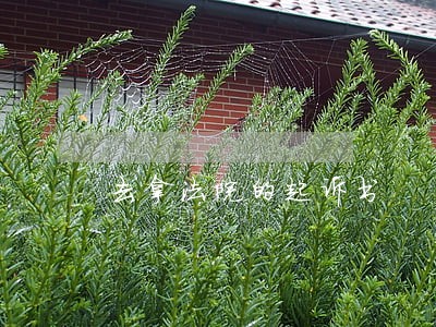 去拿法院的起诉书 去拿法院的起诉书