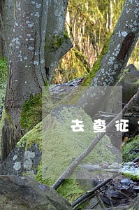 去查征信逾期银行会扣人吗