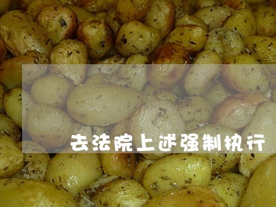 去法院上述强制执行