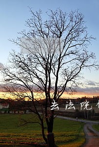 去法院保全以房产担保 去法院保全以房产担保