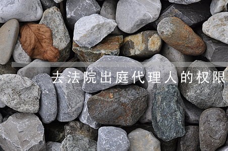 去法院出庭代理人的权限是 去法院出庭代理人的权限是