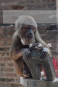 去法院取判决书要签字吗 去法院取判决书要签字吗