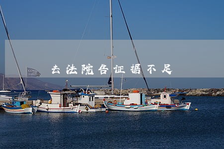 去法院告证据不足 去法院告证据不足