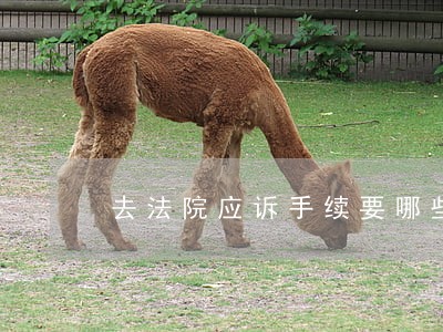 去法院应诉手续要哪些 去法院应诉手续要哪些