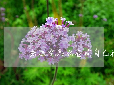去法院怎么查询自己被起诉