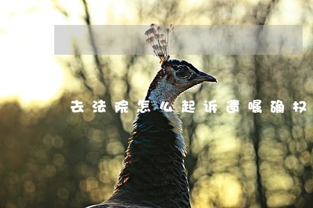去法院怎么起诉遗嘱确权