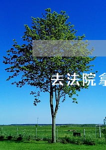 去法院拿传票会刑拘吗 去法院拿传票会刑拘吗