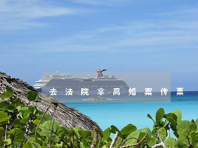 去法院拿离婚案传票