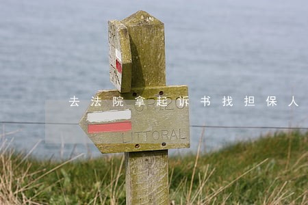 去法院拿起诉书找担保人