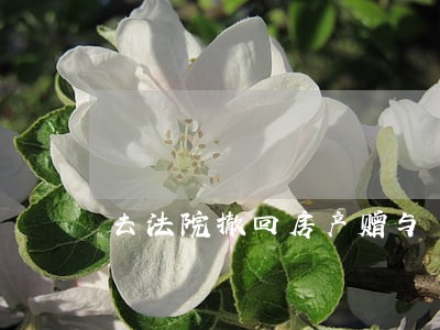 去法院撤回房产赠与