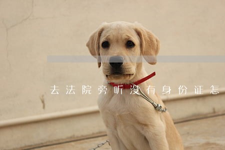 去法院旁听没有身份证怎么办 去法院旁听没有身份证怎么办