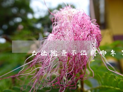 去法院查不记得哪年了 去法院查不记得哪年了