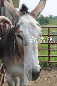 去法院查询案件怎么查 去法院查询案件怎么查