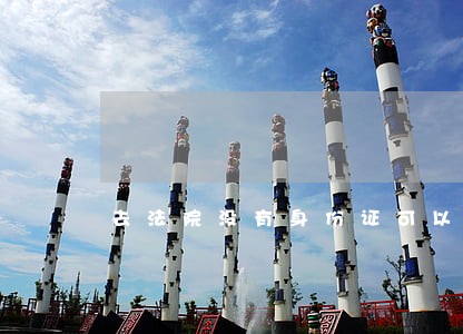 去法院没有身份证可以进去吗 去法院没有身份证可以进去吗
