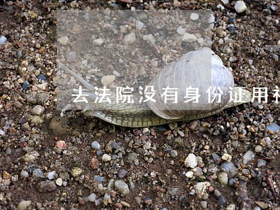 去法院没有身份证用社保卡可以吗