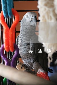去法院立案受理之后多久能调解 去法院立案受理之后多久能调解