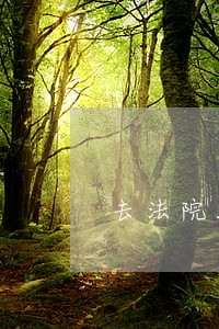 去法院能胜诉吗 去法院能胜诉吗