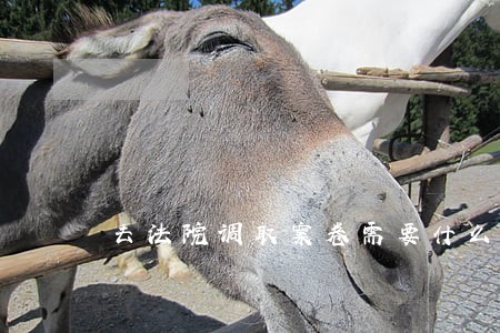 去法院调取案卷需要什么材料 去法院调取案卷需要什么材料