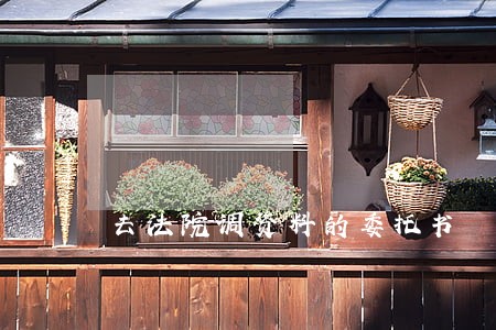 去法院调资料的委托书