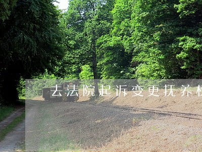 去法院起诉变更抚养权 去法院起诉变更抚养权