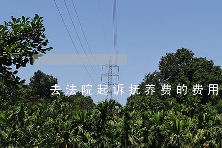 去法院起诉抚养费的费用 去法院起诉抚养费的费用