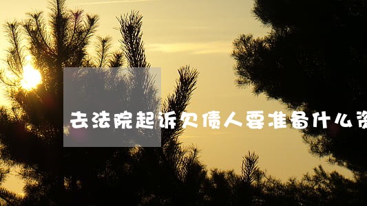 去法院起诉欠债人要准备什么资料