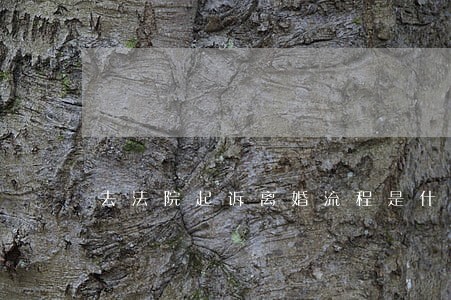 去法院起诉离婚流程是什么 去法院起诉离婚流程是什么