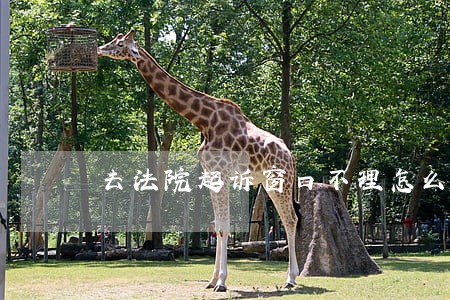 去法院起诉窗口不理怎么办 去法院起诉窗口不理怎么办