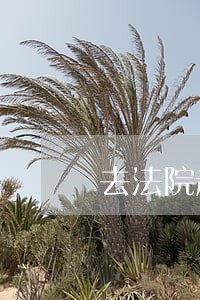 去法院起诉要回房产证 去法院起诉要回房产证