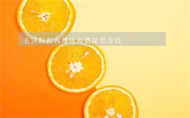 去法院起诉要抚养费花多少钱 去法院起诉要抚养费花多少钱