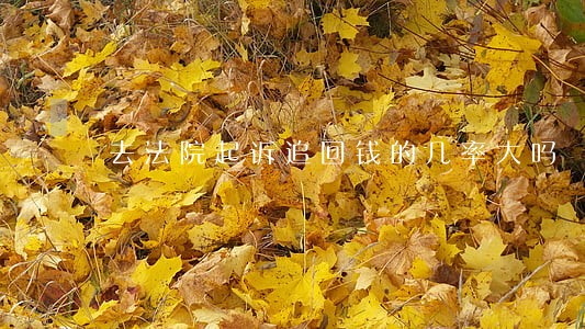 去法院起诉追回钱的几率大吗 去法院起诉追回钱的几率大吗