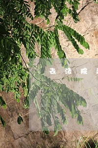 去法院起诉需提供哪些证据 去法院起诉需提供哪些证据