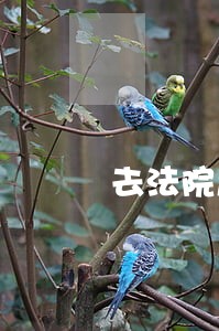 去法院起诉需要经过派出所吗 去法院起诉需要经过派出所吗
