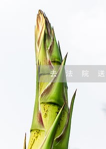 去法院送货被书记员一眼认出 去法院送货被书记员一眼认出