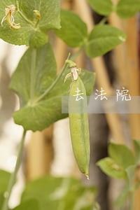 去法院递交了起诉书 去法院递交了起诉书