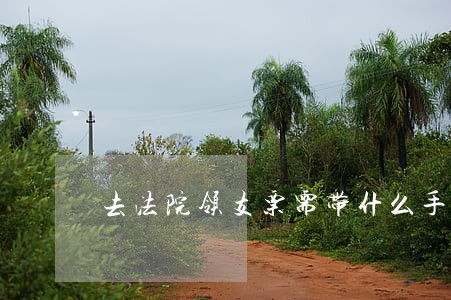 去法院领支票需带什么手续费 去法院领支票需带什么手续费