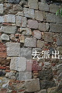 去派出所看到好几条违法记录 去派出所看到好几条违法记录