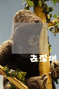 去深圳之后要离婚 去深圳之后要离婚