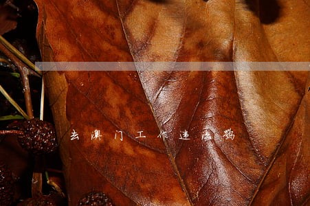 去澳门工作违法嘛 去澳门工作违法嘛