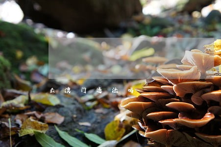 去澳门违法吗 去澳门违法吗