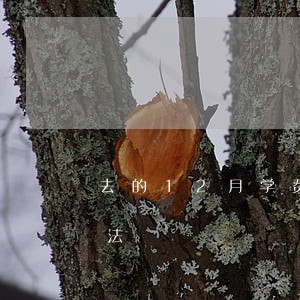 去的12月学费都交了至今末开学是不是违法 去的12月学费都交了至今末开学是不是违法
