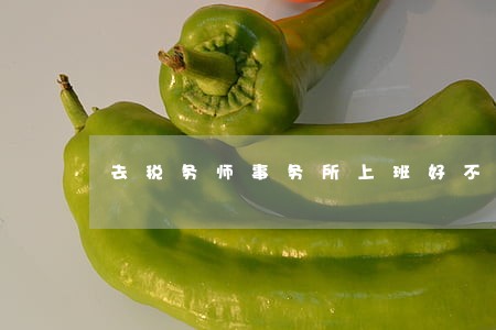 去税务师事务所上班好不好 去税务师事务所上班好不好