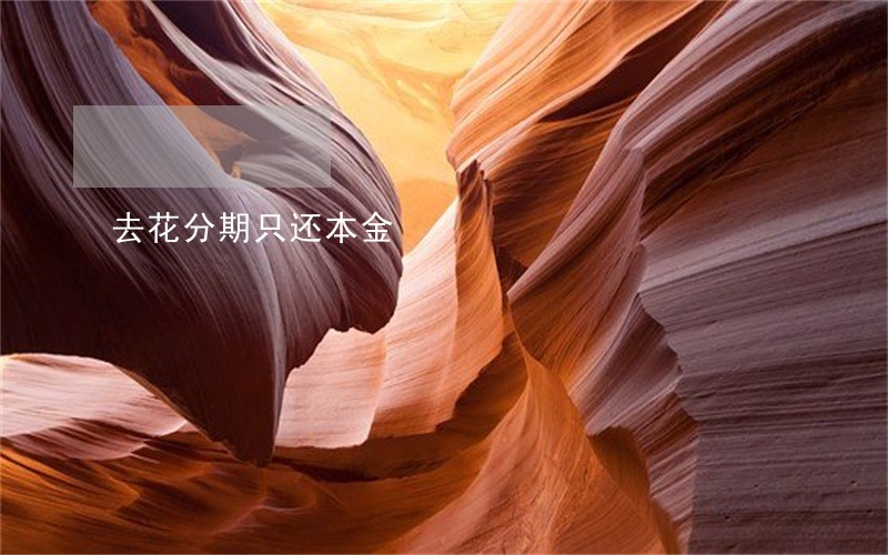 去花分期只还本金 去花分期只还本金