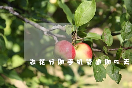 去花分期手机贷逾期5天 去花分期手机贷逾期5天