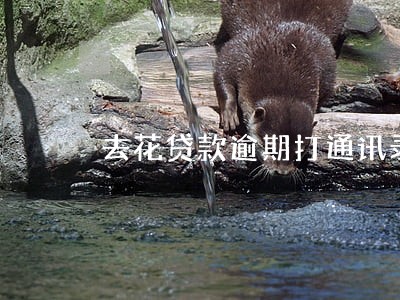 去花贷款逾期打通讯录吗 去花贷款逾期打通讯录吗