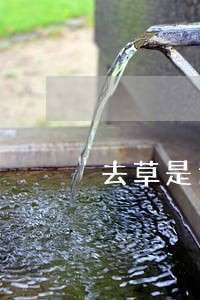 去草是违法插件 去草是违法插件
