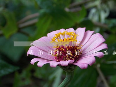 去莆田批发鞋子地摊卖违法吗