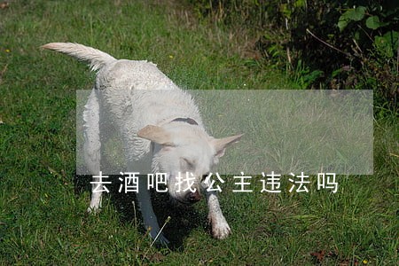 去酒吧找公主违法吗